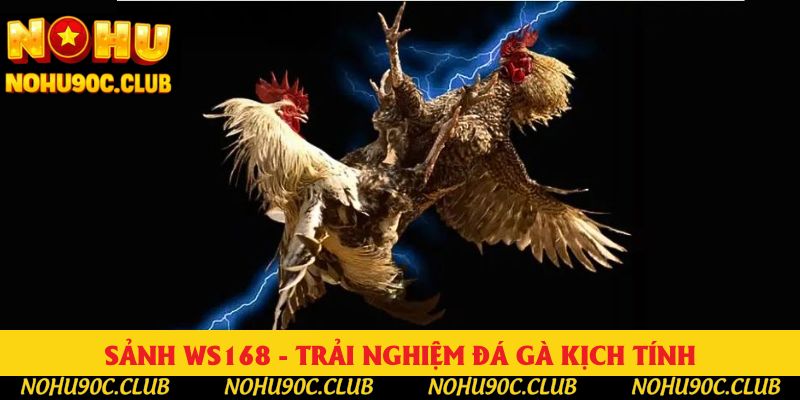 Sảnh WS168 - Điểm Đến Đỉnh Cao Cho Cược Thủ Mê Đá Gà
