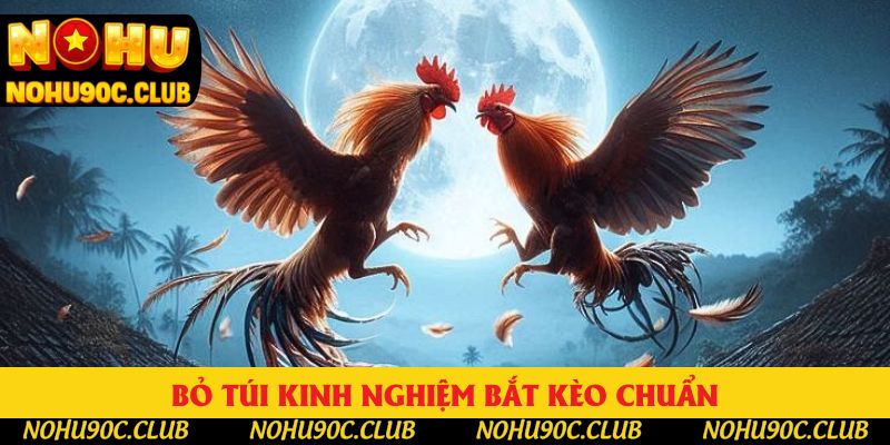Bỏ túi kinh nghiệm bắt kèo chuẩn Bỏ túi kinh nghiệm bắt kèo chuẩn
