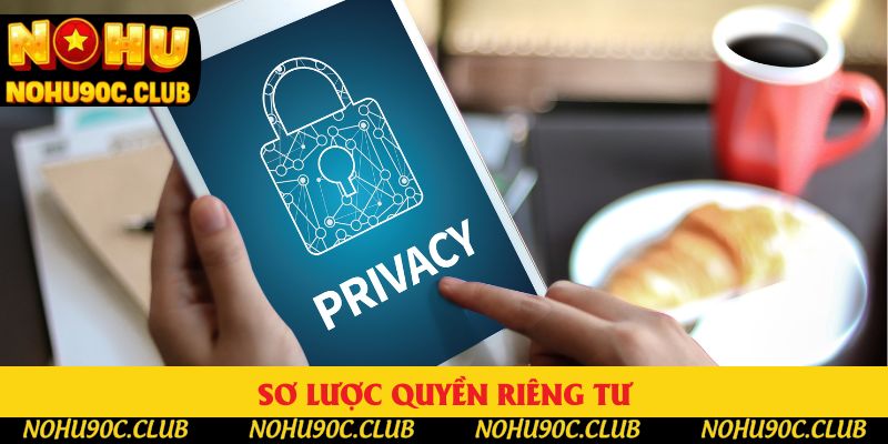 Sơ lược quyền riêng tư Sơ lược quyền riêng tư